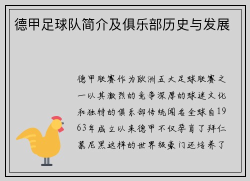 德甲足球队简介及俱乐部历史与发展
